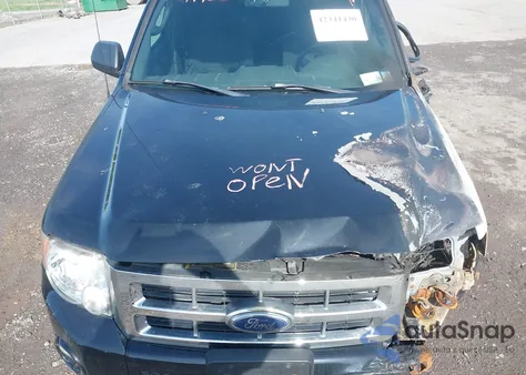 2009 Ford Escape Xlt from USA, damaged, VIN 1FMCU93G19KB94016